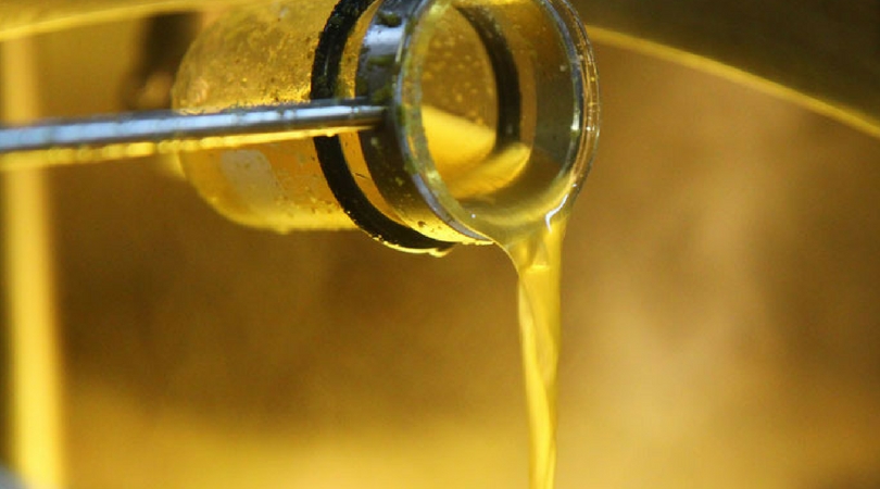 Workshop: O processo de elaboração do mosto cervejeiro