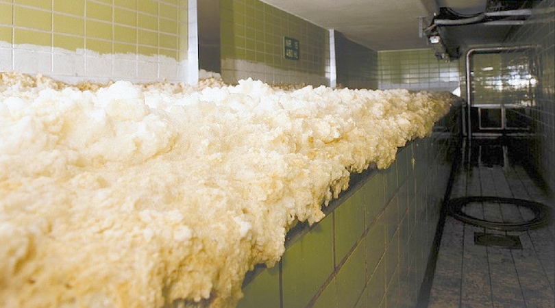 cervesia cat Fermentção Tanques abertos 5