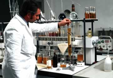 principais análises da cerveja